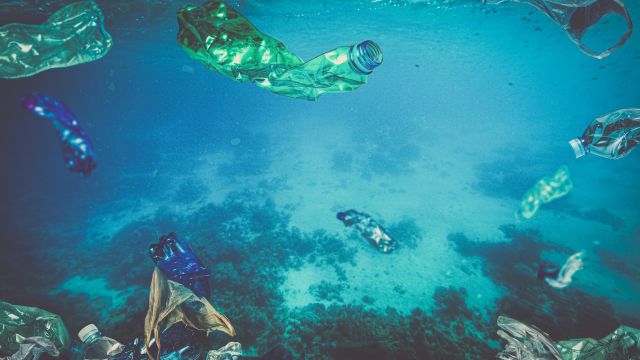 plastic pollution
